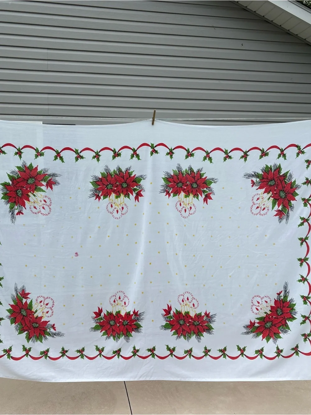 Holiday Poinsettia Throw Blanket - Red and Green